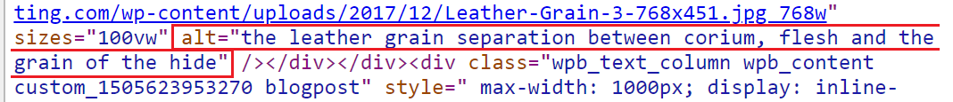 Image ALT Text with keywords