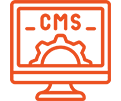 CMS Websites