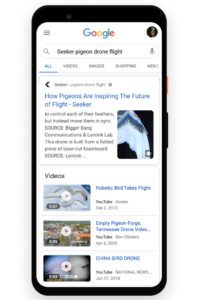 Google Web Stories Displayed as Single Result