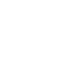 shopify-icon