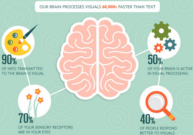 Brain Processes