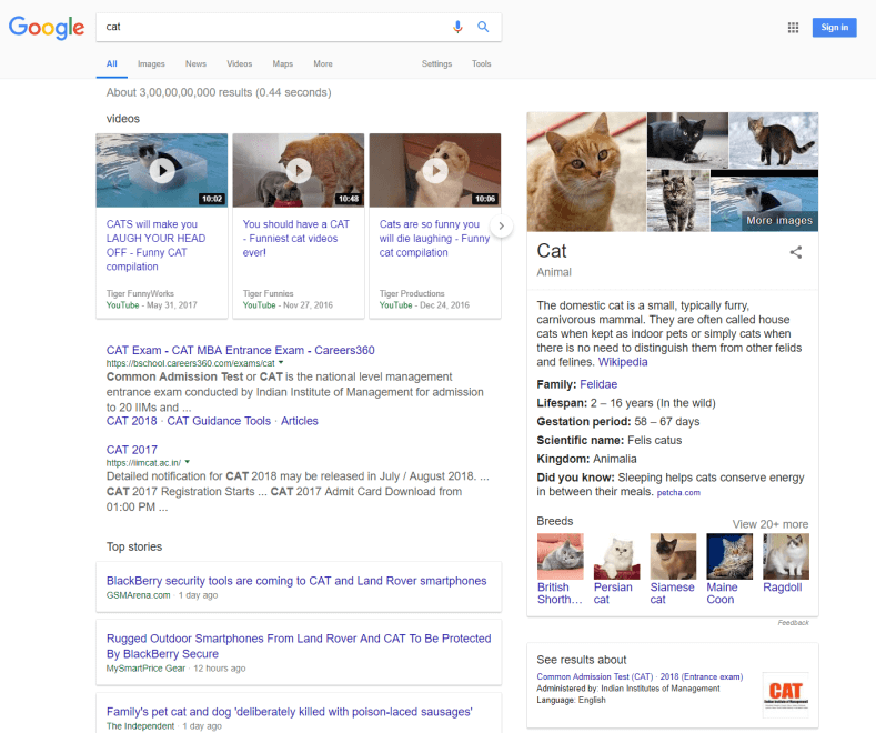 Cat - Understand User Intent and Make Use of Suitable Keywords