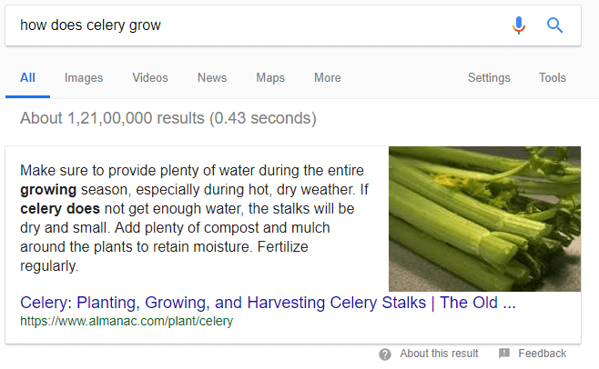 How Does Celery Grow - Google Assistant ranks a snippet