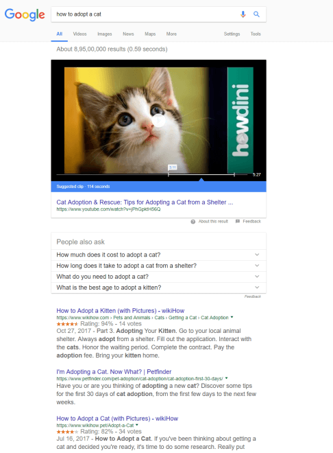 Search query "How to adopt a cat" shows user intention