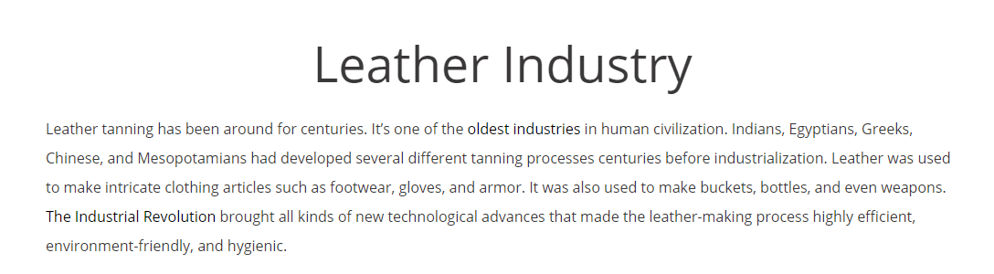 About Leather Industry