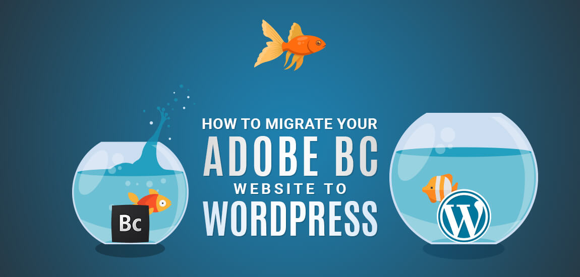How to Migrate Your Adobe BC Website to WordPress