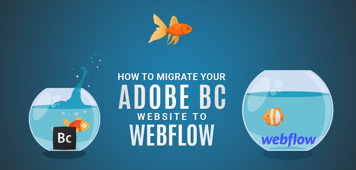 How to Migrate Your Adobe BC Website to Webflow