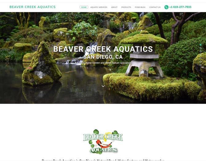 Beaver Creek Aquatics - Wordpress Websites - Portfolio