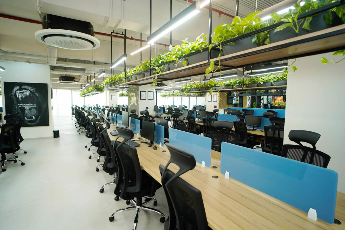 Center Open Floor Workstation Desks surrounded by money plants